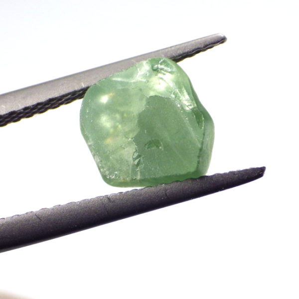 polar demantoid 3.53 ct