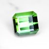 tourmaline 2.74 ct