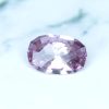 dragon garnet 0.91 ct