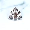 dragon garnet 0,77 ct